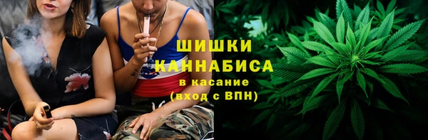 тгк Елизово