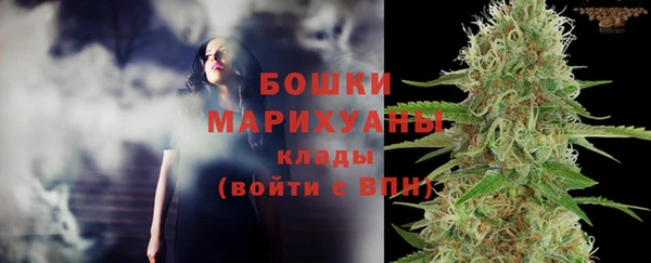 прущий лед Дмитриев
