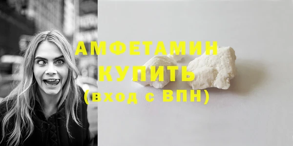 прущий лед Дмитриев
