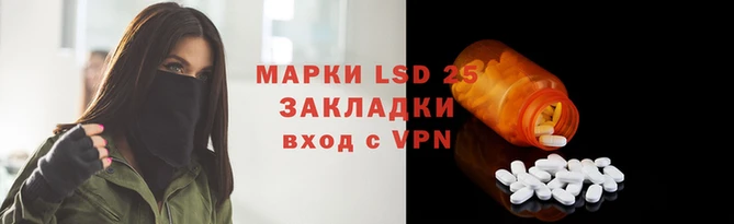 индика Ельня
