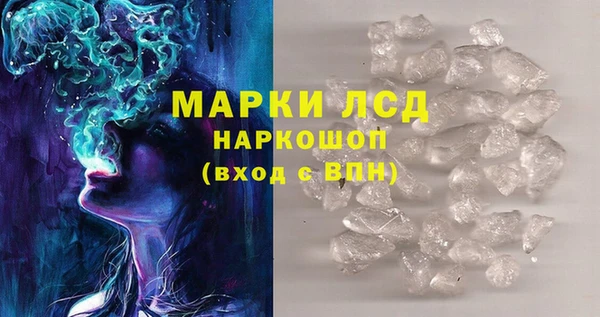 прущий лед Дмитриев