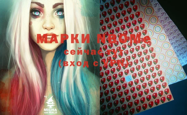 прущий лед Дмитриев