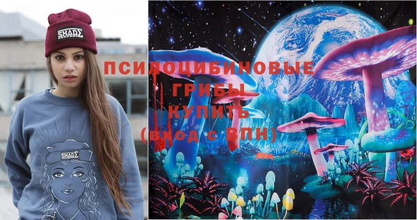 ешки Дмитров