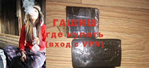 индика Ельня