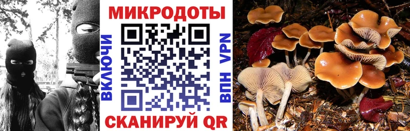mega рабочий сайт  Ефремов  Галлюциногенные грибы ЛСД 
